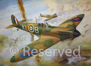 1355585920-1188466-www.nevsepic.com.ua