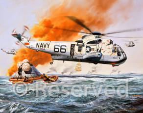 Sea King