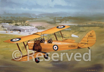 Tiger Moth